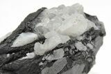 Metallic Wodginite Crystals - Brazil #214502-2